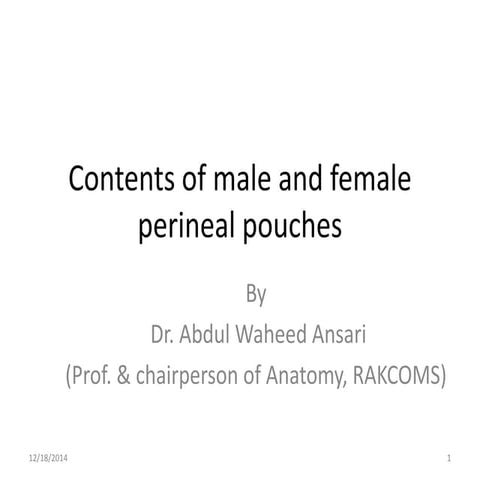 Contents of male and female perineal pouches   copy
