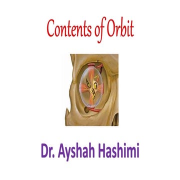 Contents of orbit