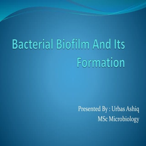 URBAS ASHIQ presentation on bacterial biofilms
