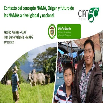Contexto del concepto NAMA, Origen y futuro de las NAMAS a nivel global y nac...