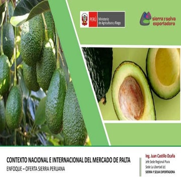 Contexto nacional e internacional del mercado de la palta