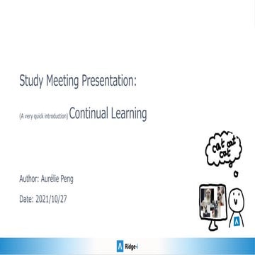Continual Learning Introduction