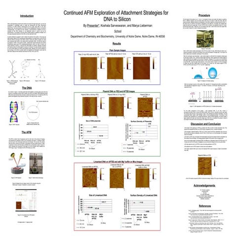 Nanostructure DNA Templates: pUCLeu4 and φχ174 RF II plasmid | PPTX