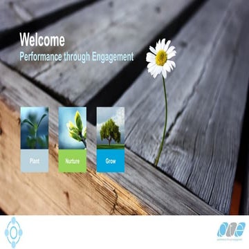 Find out the culture in your business