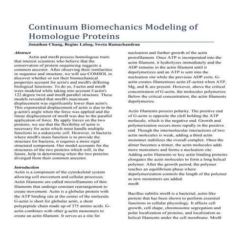 Continuum biomechanics modeling of homologue proteins