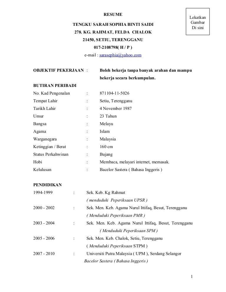 contoh resume terkini format resume terkini