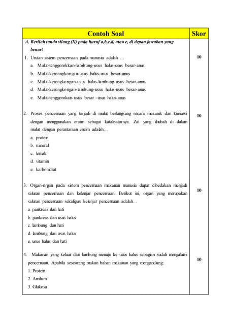 Soal Dan Pembahasan Sistem Pencernaan Pada Manusia