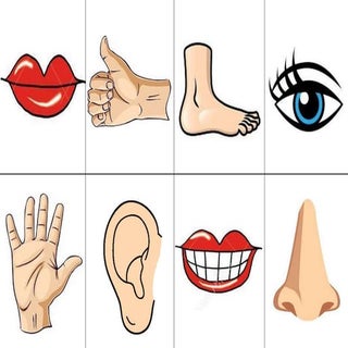 Contorno y figura partes del cuerpo