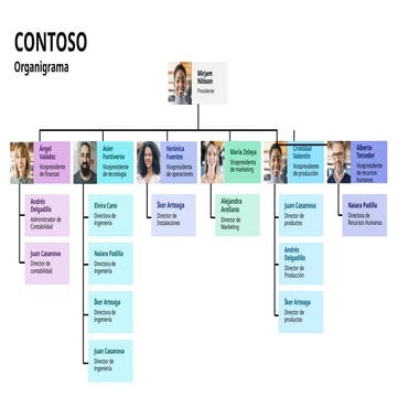 Comprehensive Organizational Structure of CONTOSO Leadership and ...