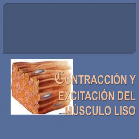 FISIOLOGIA  Contracción y excitación del músculo liso