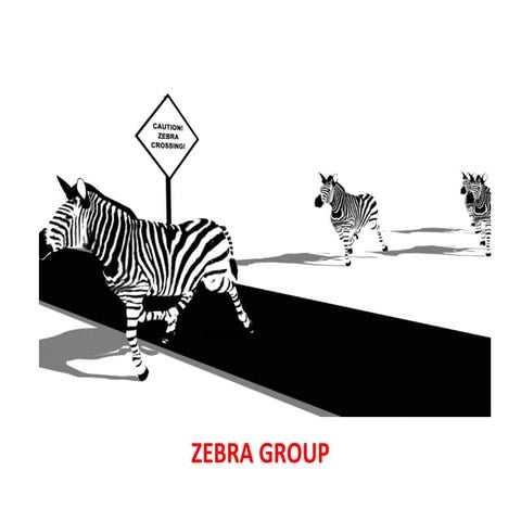 Contract farming  zebra