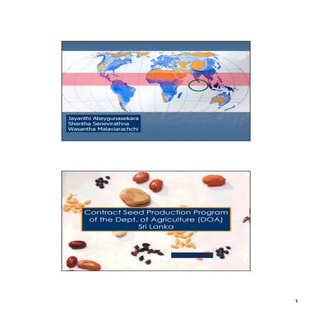 Soybean training-manual | PDF
