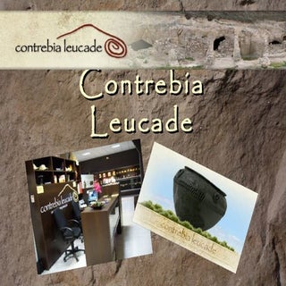 Contrebia leucade aprentic3