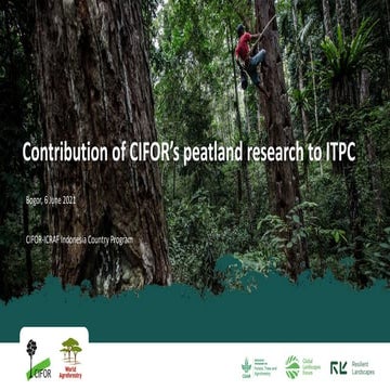 Contribution of CIFOR’s peatland research to ITPC