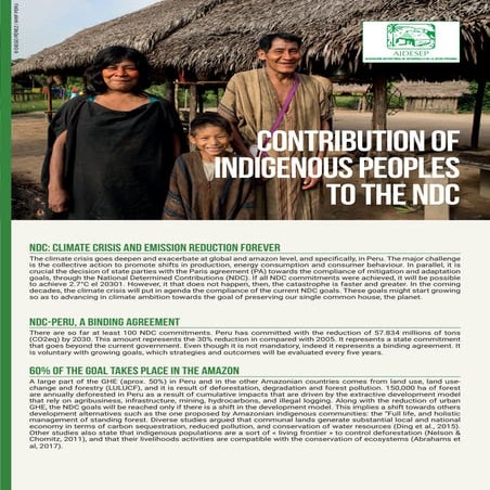 Shiringa - WWF Peru | PDF