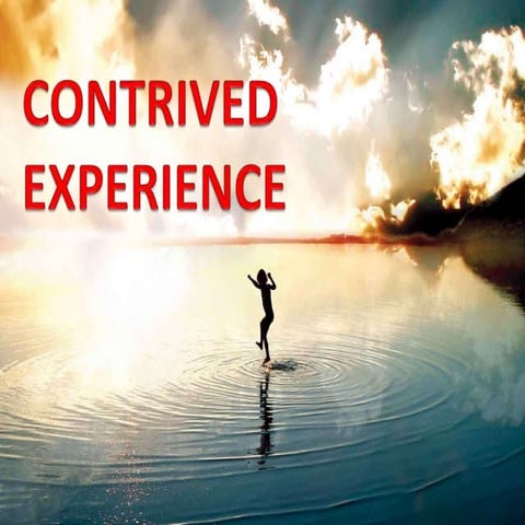 Contrived experience by hannah grace