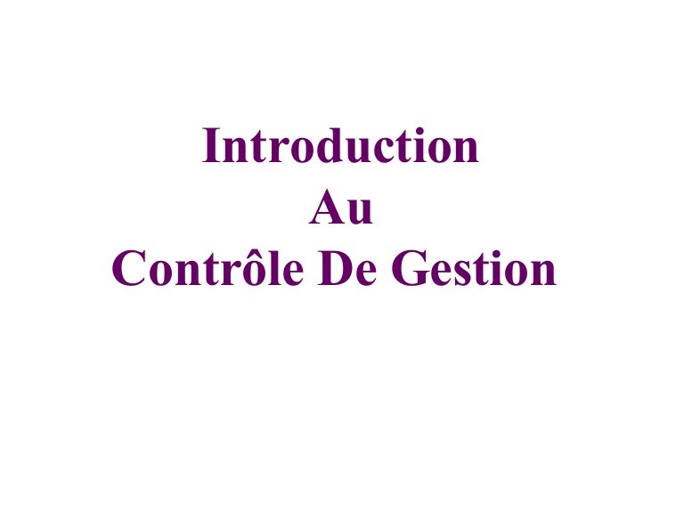 Controle De Gestion