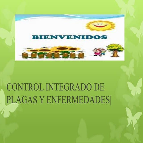Contro de plagas y enfermedades