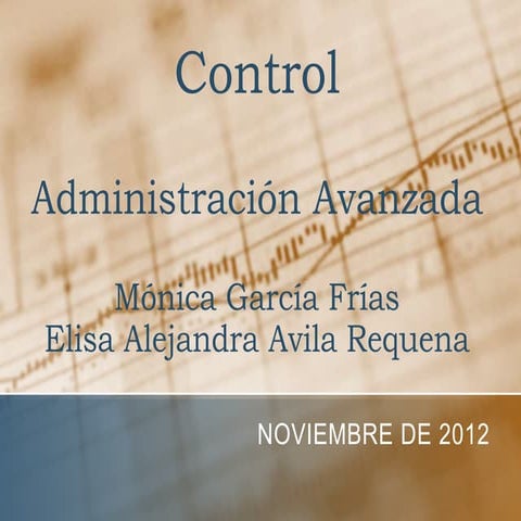 Enfoques del control de gestión | PDF
