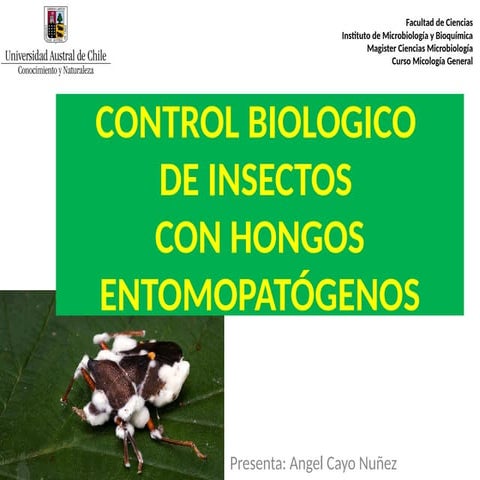 Micología Microbiología Entomopatógenos.pptx