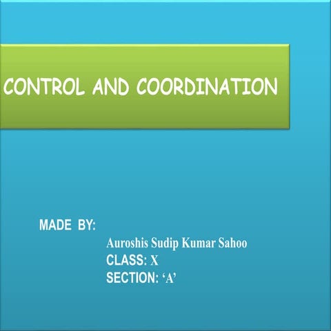 controlandcoordination-150817152923-lva1-app6891 (1).pdf