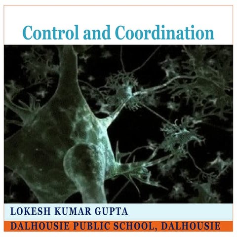 PPT-Control+and+co+ordination+CLASS+X.pptx