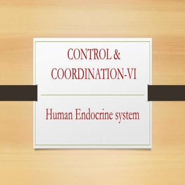 Control & Coordination VI