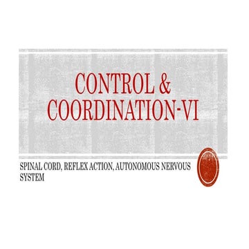 Control & coordination VI