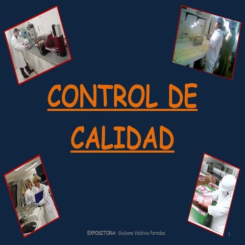 CONTROL DE CALIDAD | PPT