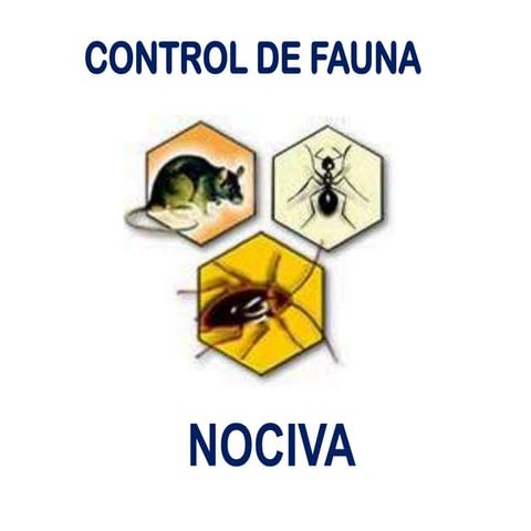 Control de fauna nociva