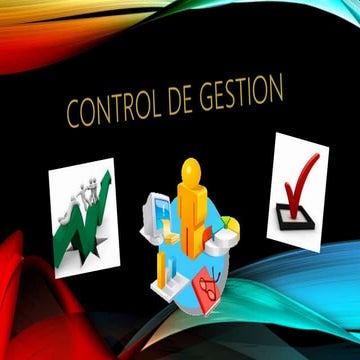 Control de gestion