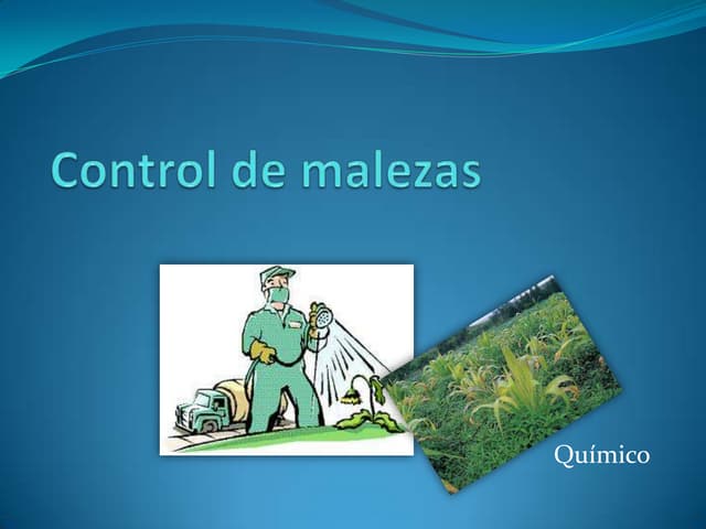 Control de malezas