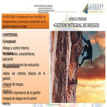 Control Interno - Riesgos - PRINCIPIOS.pptx
