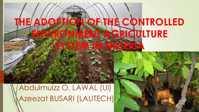 Controlled Environment Agriculture by Busari and Lawal