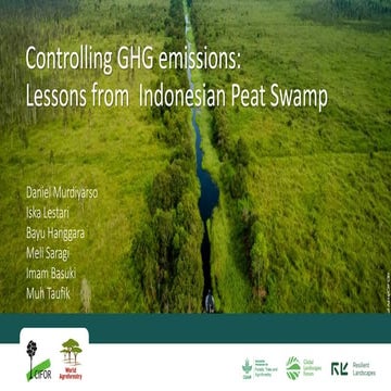 Controlling GHG emissions: Lessons from Indonesian Peat Swamp