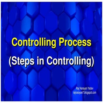 Controlling process.pdf