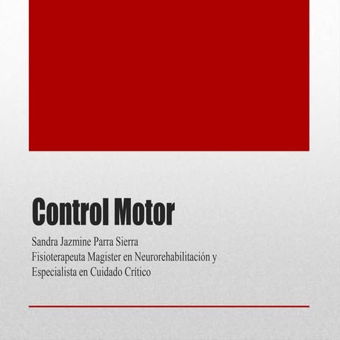 Control motor