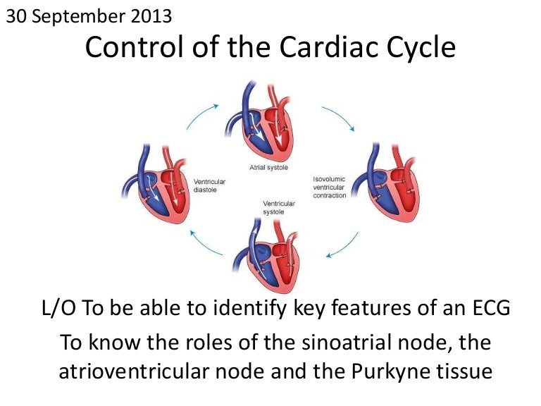 Control of cardiac cycle