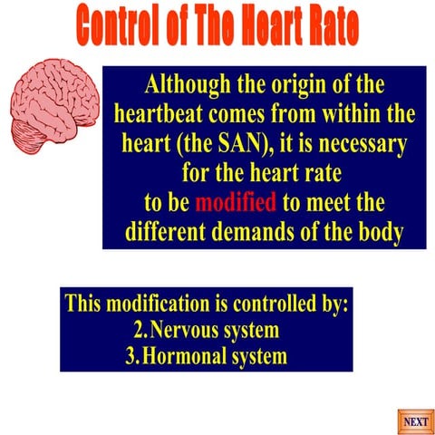 Control of heart rate