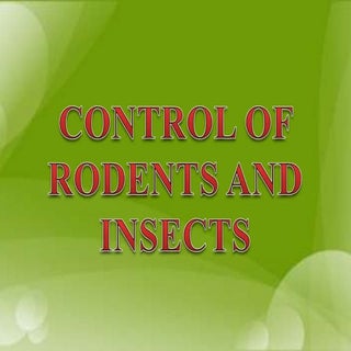 Control of rodents and insects