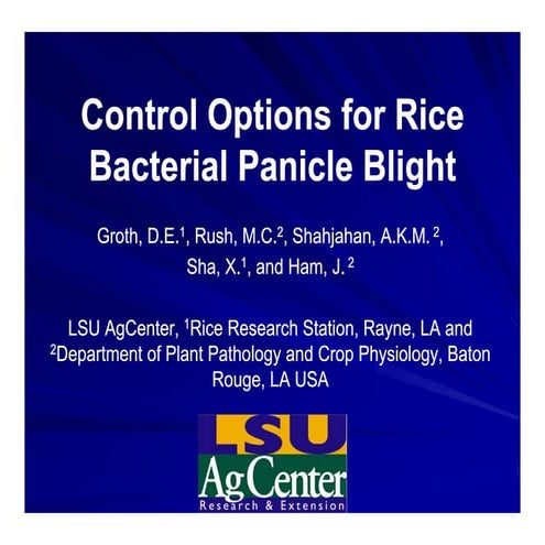 Control options rice_bacterial_panicle_blight | PDF