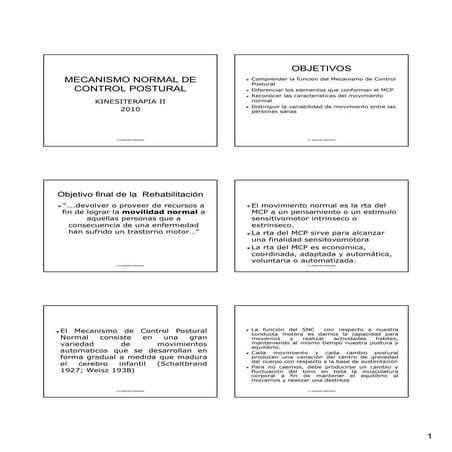 Control postural | PDF