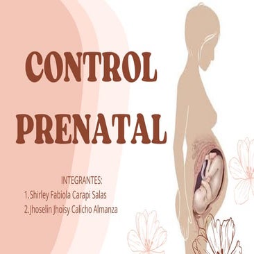 Comprehensive Guide to Prenatal Care: Monitoring, Risk Assessment, and ...