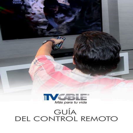 MANUAL CONTROL REMOTO | PDF