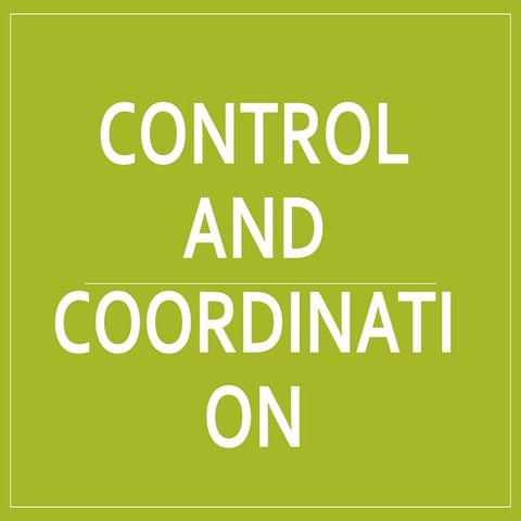 Controls and coordination | PPT