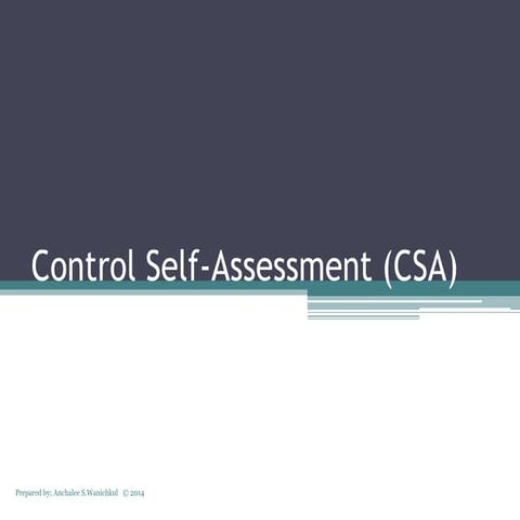 Control self assessment (csa)