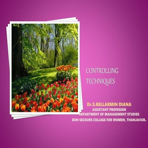 control techniques in management.pptx