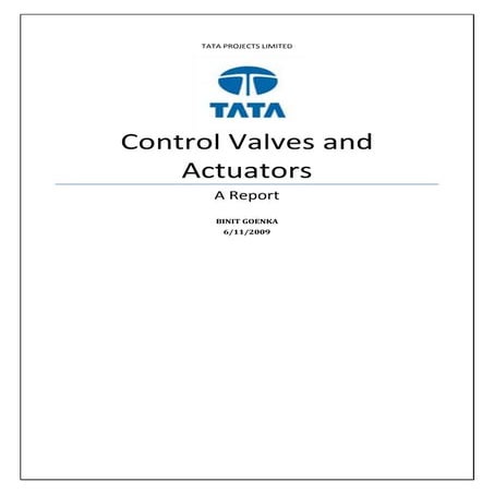 Control Valves And Actuators