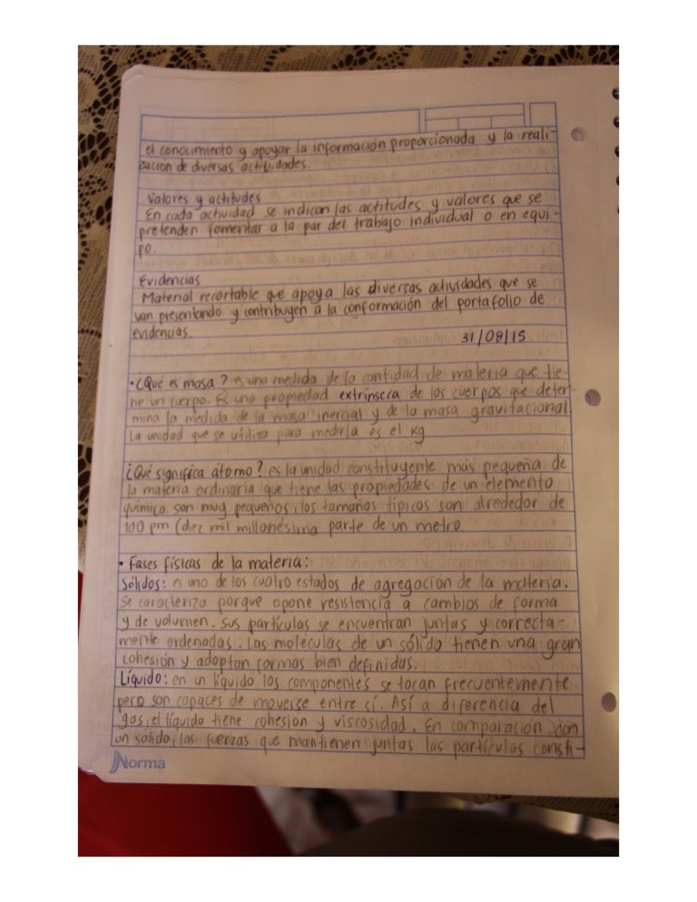 Actividades Masa Etc