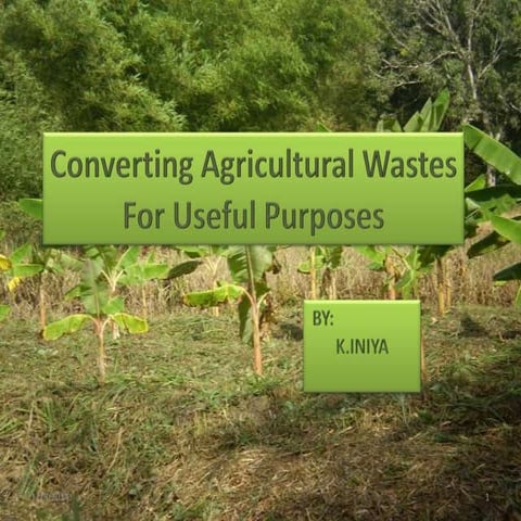 Converting agricultural waste for useful purposes